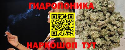 кокс Шебекино
